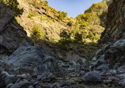 Nationalpark Caldera de Taburiente La Palma